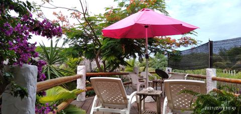 Sun Deck