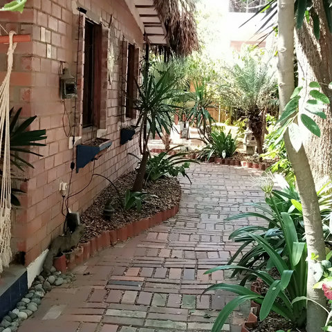 cabin and path to the entrance