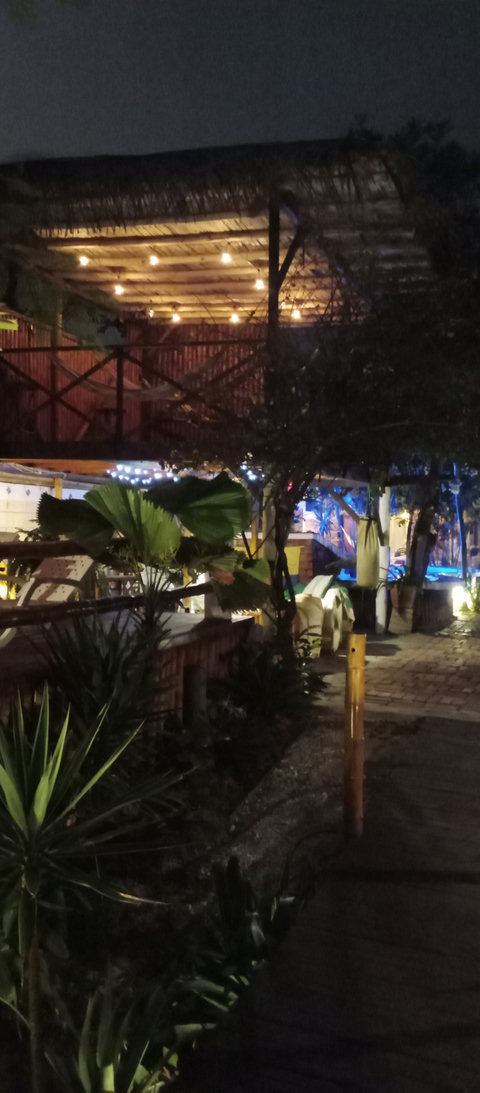 hammock house by night 