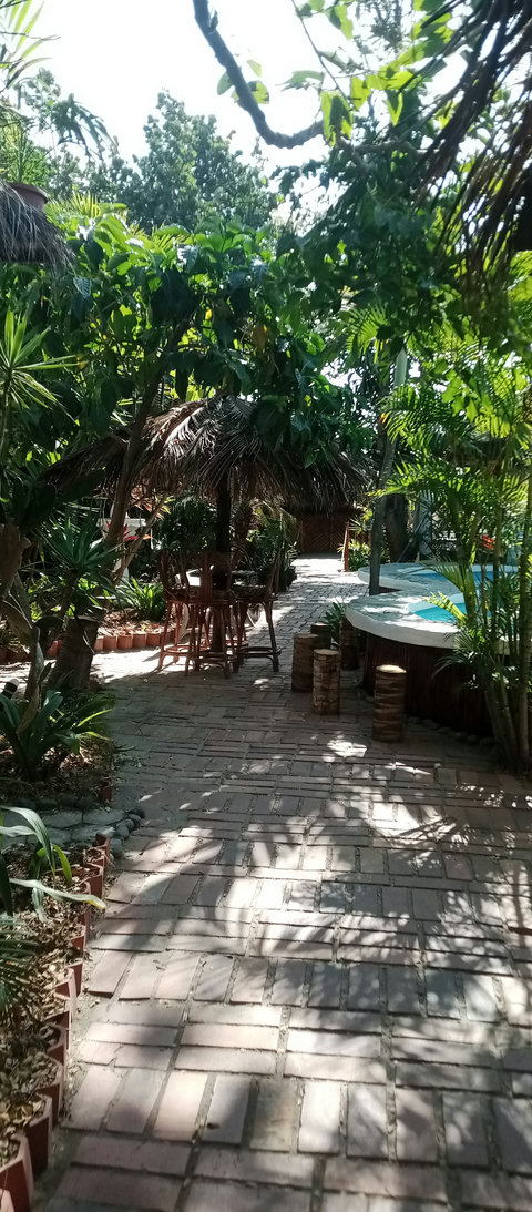 pool and social area under our tiki hut