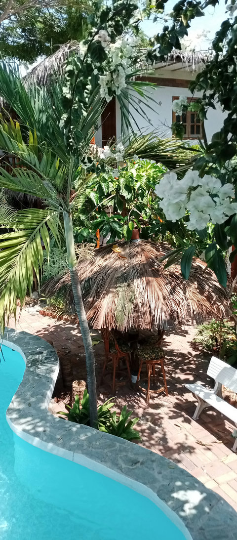 pool and social area under our tiki hut