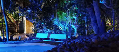garden by night