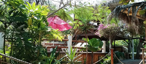 sun Terras