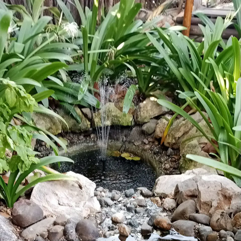 pond with water fall