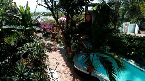 view overlooking Hammock house and pool