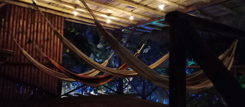 hammock house by night 