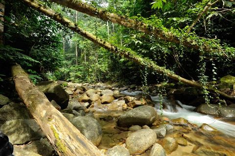 Awesome stream just minutes away from the house