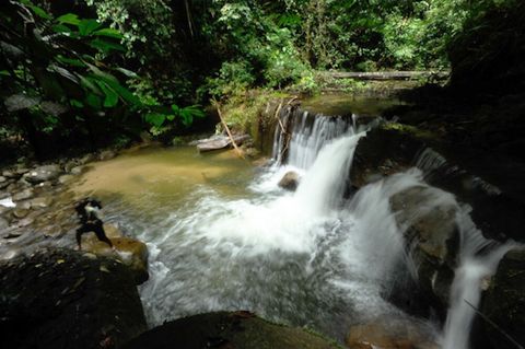 Lovely waterfalls - Jungle trek