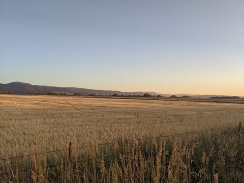 walkable neighborhood