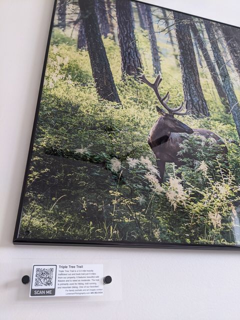 Enjoy our real life guidebook by scanning QR codes and reading about Montana history on the bottom of the art and photos throughout the space.