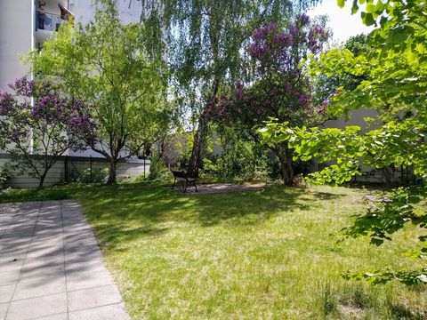 Our communal garden.