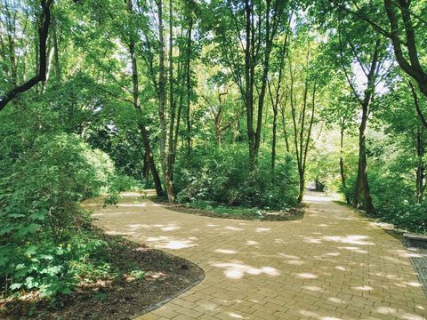 Anton-Saefkow Park, only 5 Minutes walk from our apartment.