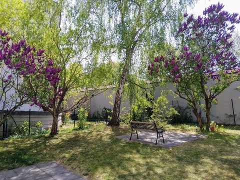 Communal garden at the back of the building