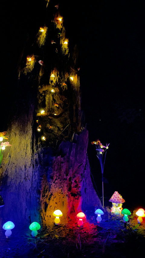 Light up Fairy Garden hidden in the pine forest!