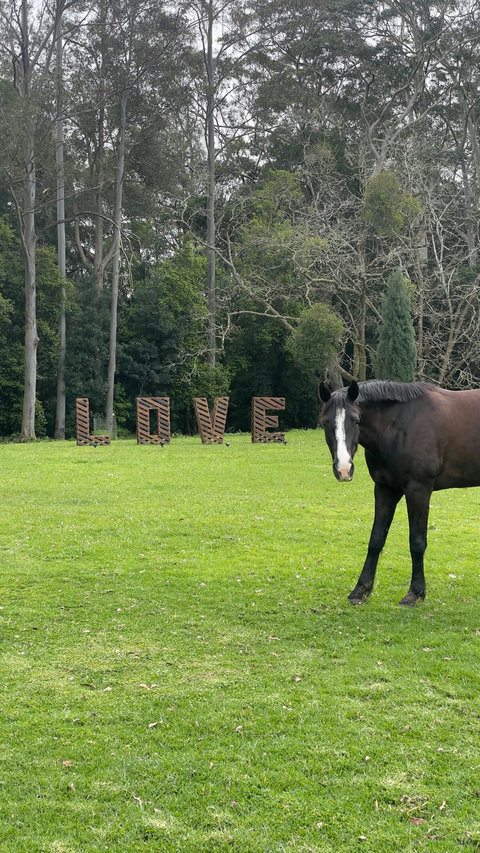 Your Host Ronnie with the huge LOVE sign on the far side of the oval!