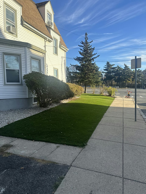 Yard