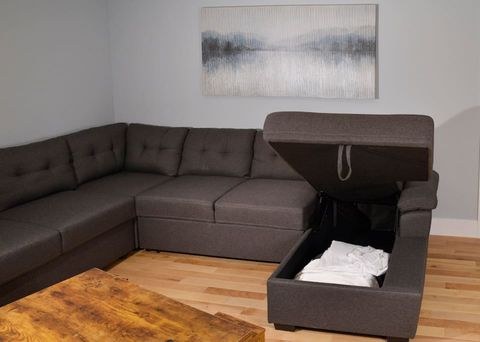 Living room 2 pull out couch