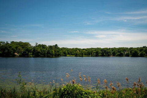 Nutting Lake View