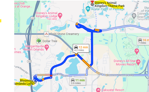 11 to 12 min to Disney's Animal Kingdom Theme Park