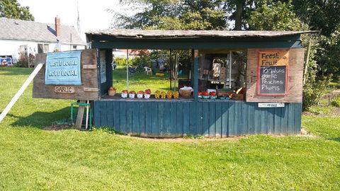 Local Tomatoes, Garlic, Peaches, Plums