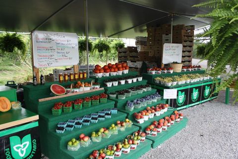 Local Organic Fruits and Vegetables