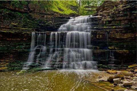 Beamer Falls Conservation Area