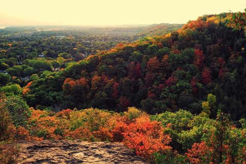 Beamer Memorial Conservation Lookout Trail