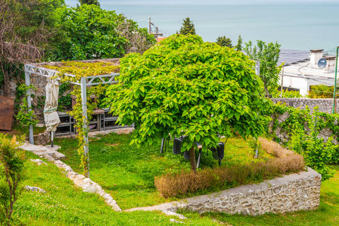 BBQ area and outside dining area
