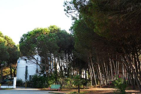 View of the villa (East)