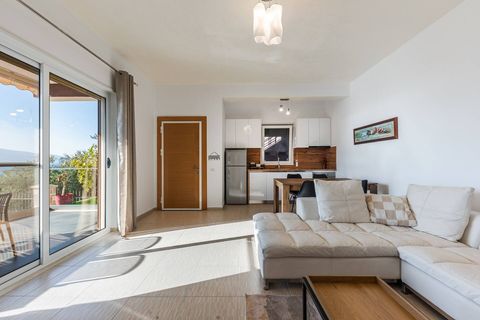 Fully-equipped kitchen and living room