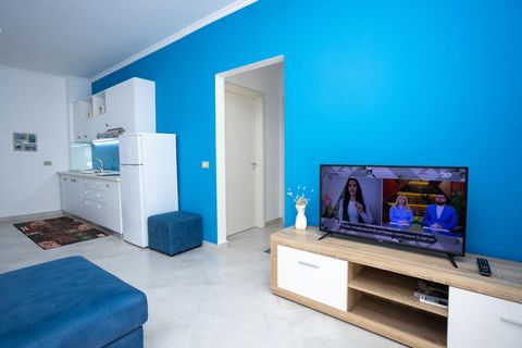 Living room and the fully-equipped kitchen