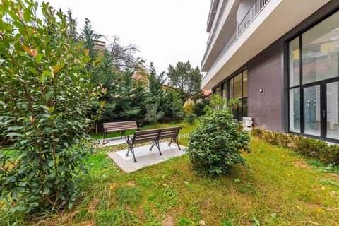 Back-garden of the building