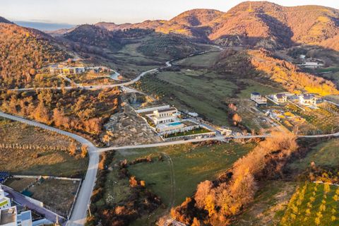 View from the mansion