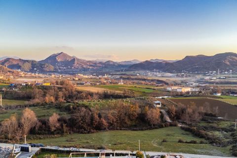 View from the mansion