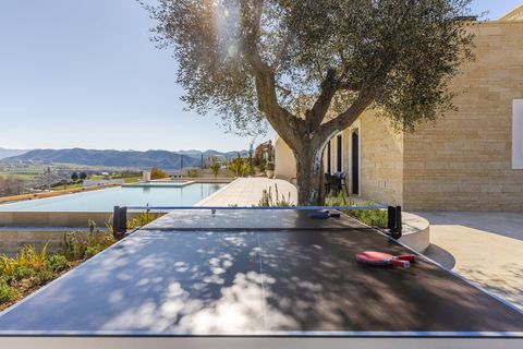 Patio 1 with ping-pong table