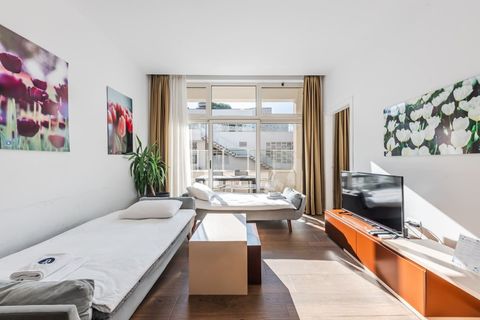 Living room sofa beds