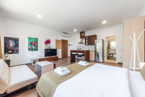 Living room and bedroom of the studio