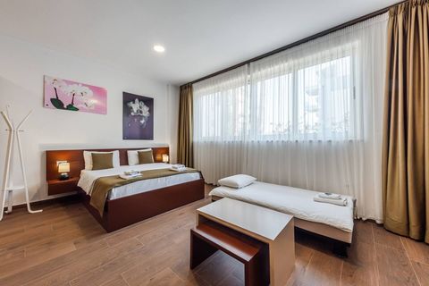 Living room and bedroom of the studio