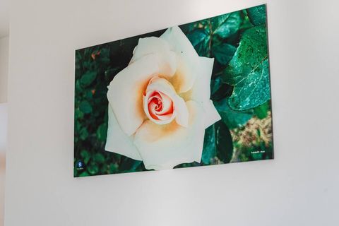 Living room and bedroom of the studio details