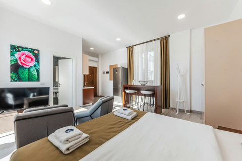 Living room and bedroom of the studio