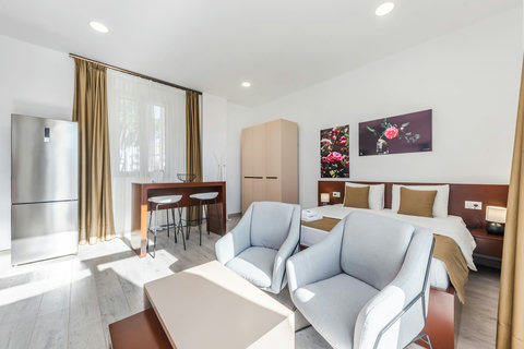 Living room and bedroom of the studio