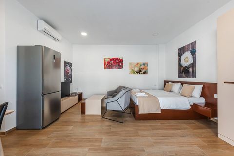 Living room and bedroom of the studio