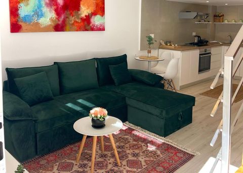 Living room and fully-equipped kitchen