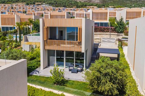 View of the villa (Drone shot)