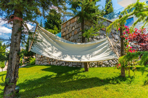 Hammock