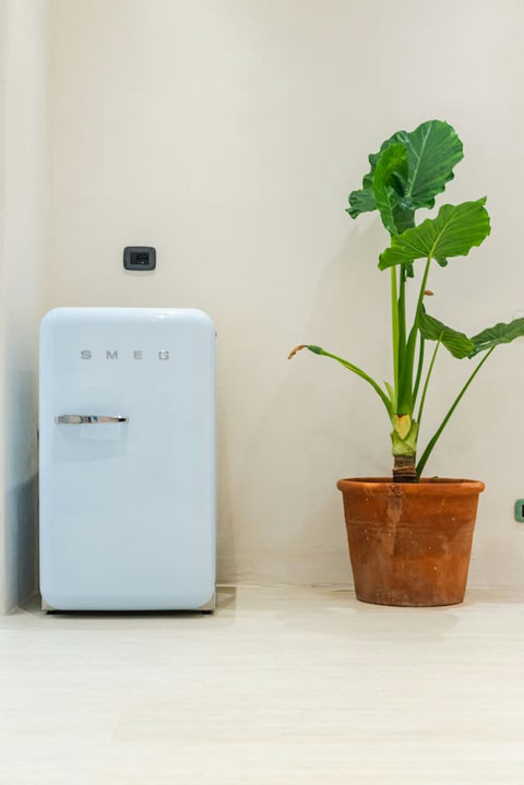 Fully-equipped kitchen 2 details