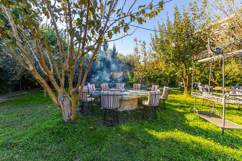 Fire pit & outdoor dining area
