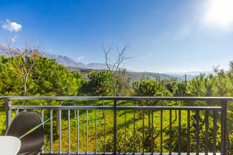 View from the balcony