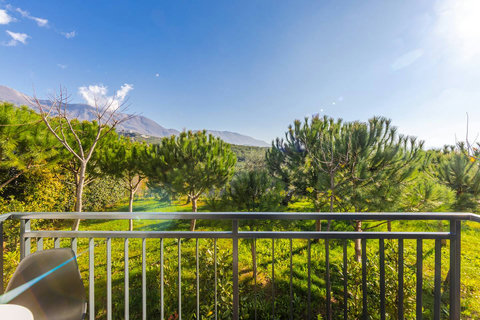 View from the balcony