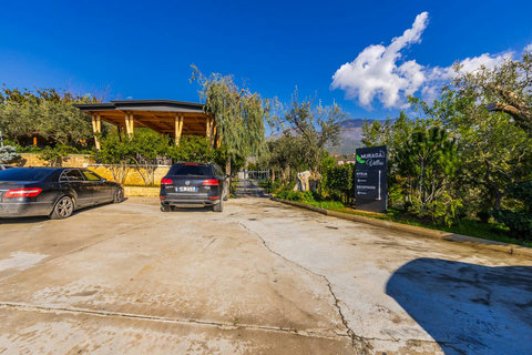 Exterior ( Parking spaces )